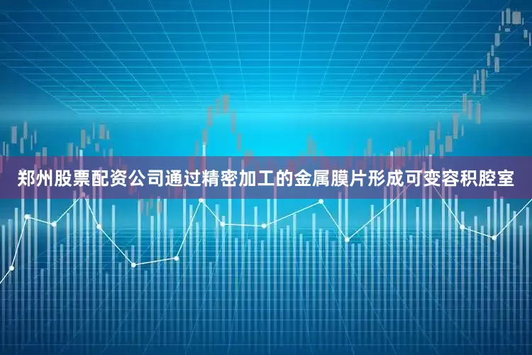 郑州股票配资公司通过精密加工的金属膜片形成可变容积腔室