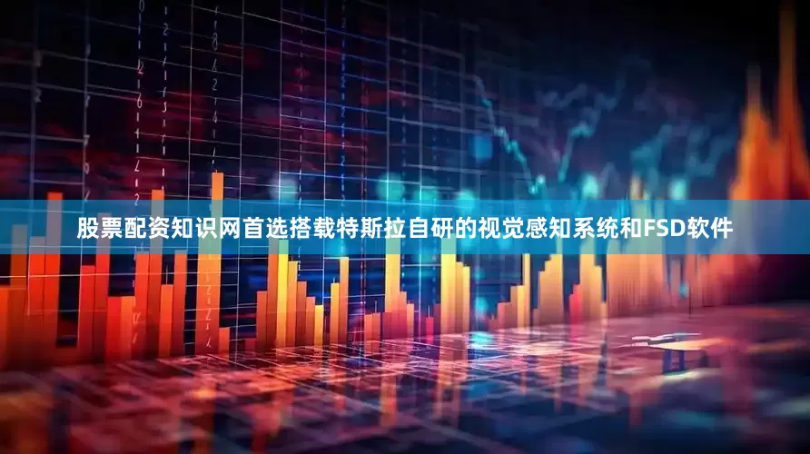 股票配资知识网首选搭载特斯拉自研的视觉感知系统和FSD软件