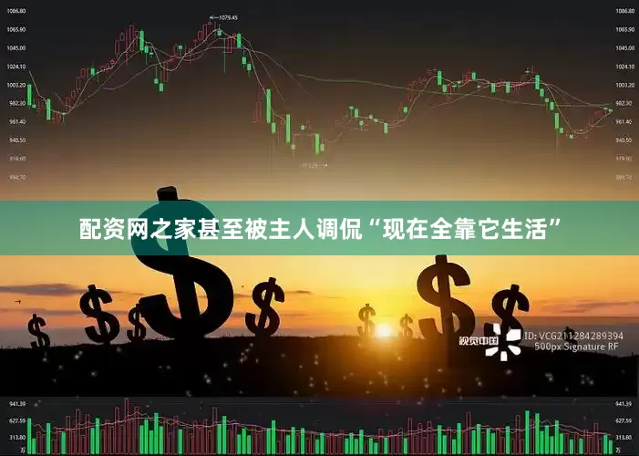 配资网之家甚至被主人调侃“现在全靠它生活”