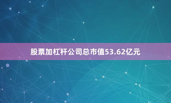 股票加杠杆公司总市值53.62亿元