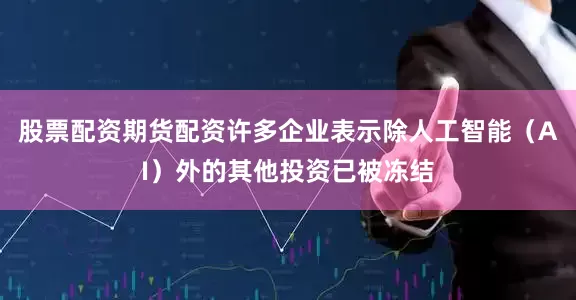 股票配资期货配资许多企业表示除人工智能（AI）外的其他投资已被冻结