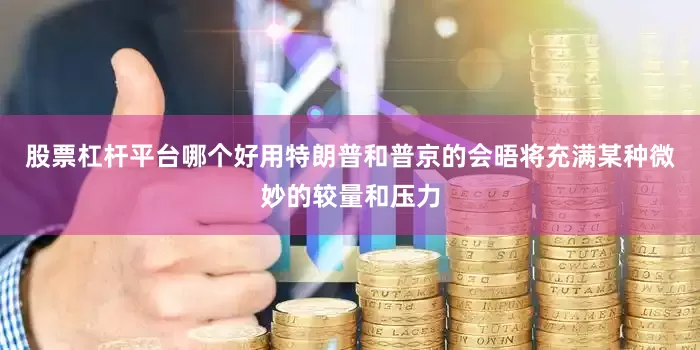 股票杠杆平台哪个好用特朗普和普京的会晤将充满某种微妙的较量和压力