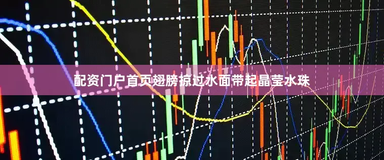 配资门户首页翅膀掠过水面带起晶莹水珠