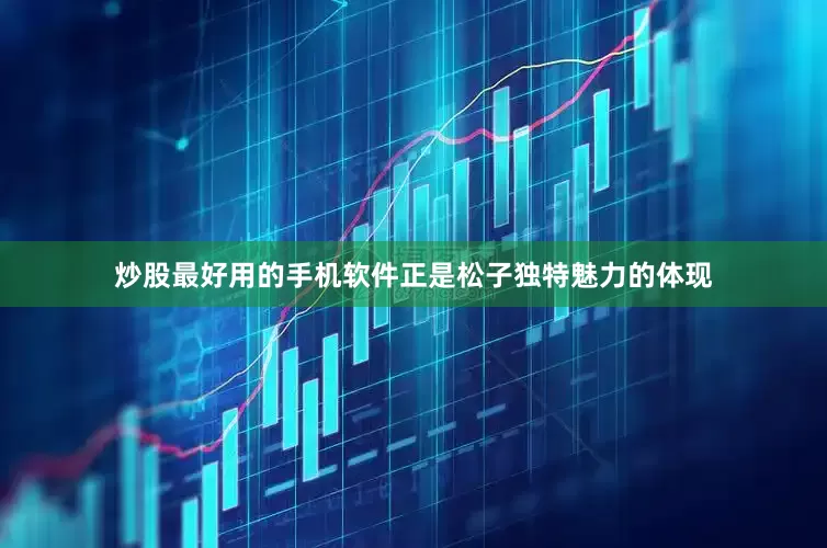 炒股最好用的手机软件正是松子独特魅力的体现